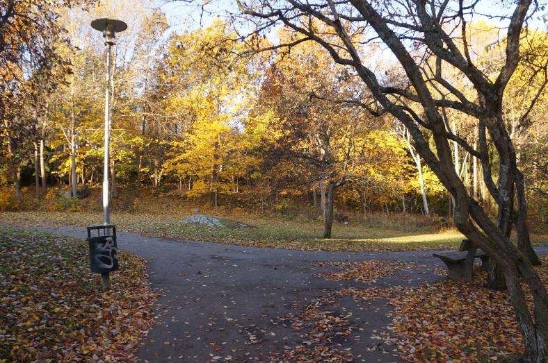 Örbron sedd norrifrån och gång-