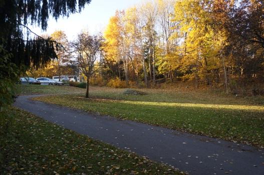 Till vänster vy från gång-/cykelväg mellan Mamsellstigen och Malins park.