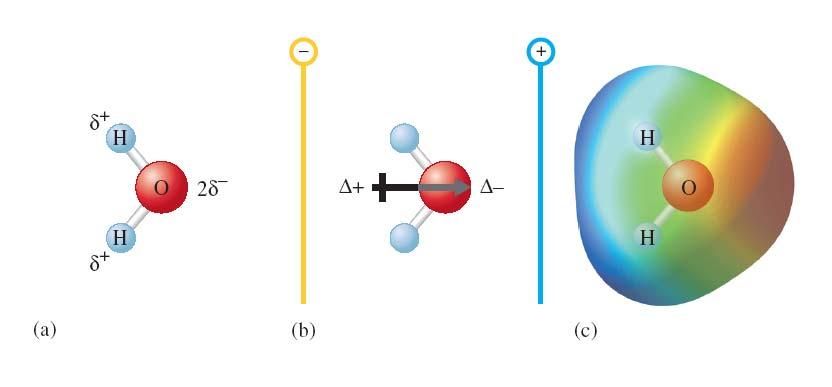 Avsnitt 8.