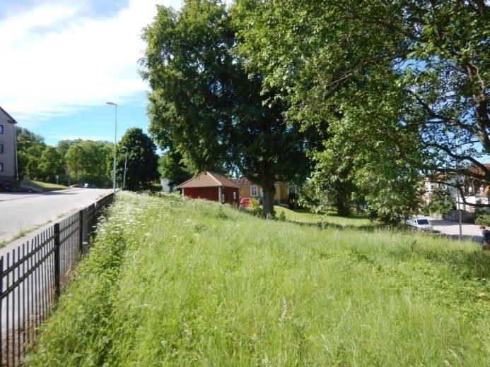vegetationen också livsmiljöer för snäckor, sniglar, ormar, ödlor, smågnagare m.m. och övervintringsplatser för t.