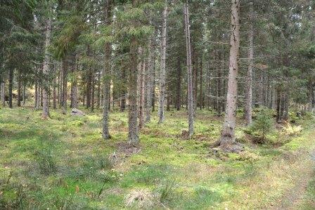 Hultsfred Stora Sinnerstad 6:20 Rättsförhållanden Fastigheten Stora Sinnerstad 6:20 är belägen i Kalmar län, Hultsfred kommun, Målilla socken. Arealen fördelad enligt skogsbruksplan.