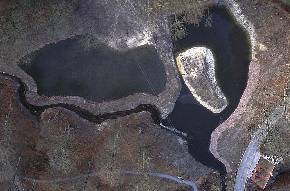 Svedala kommun Nr 20 Risemölla Fastighet: Risemölla 1:1 Torups kvarn Kommun: Svedala Dammyta: 0,6 ha Vattenvolym (max): 4 400 m3 Djup (max): 1,5 m Tillrinningsområde (ha): 2500