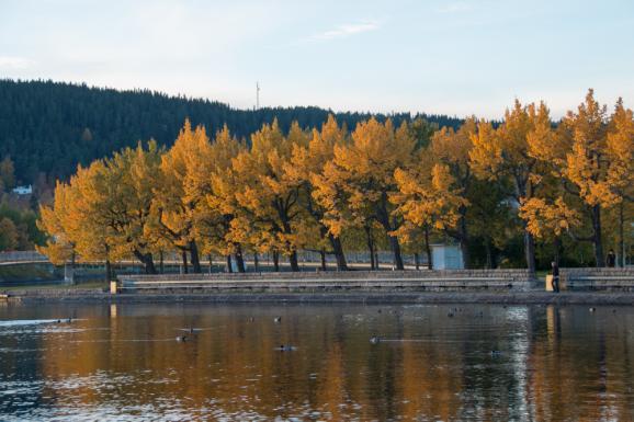 hösten