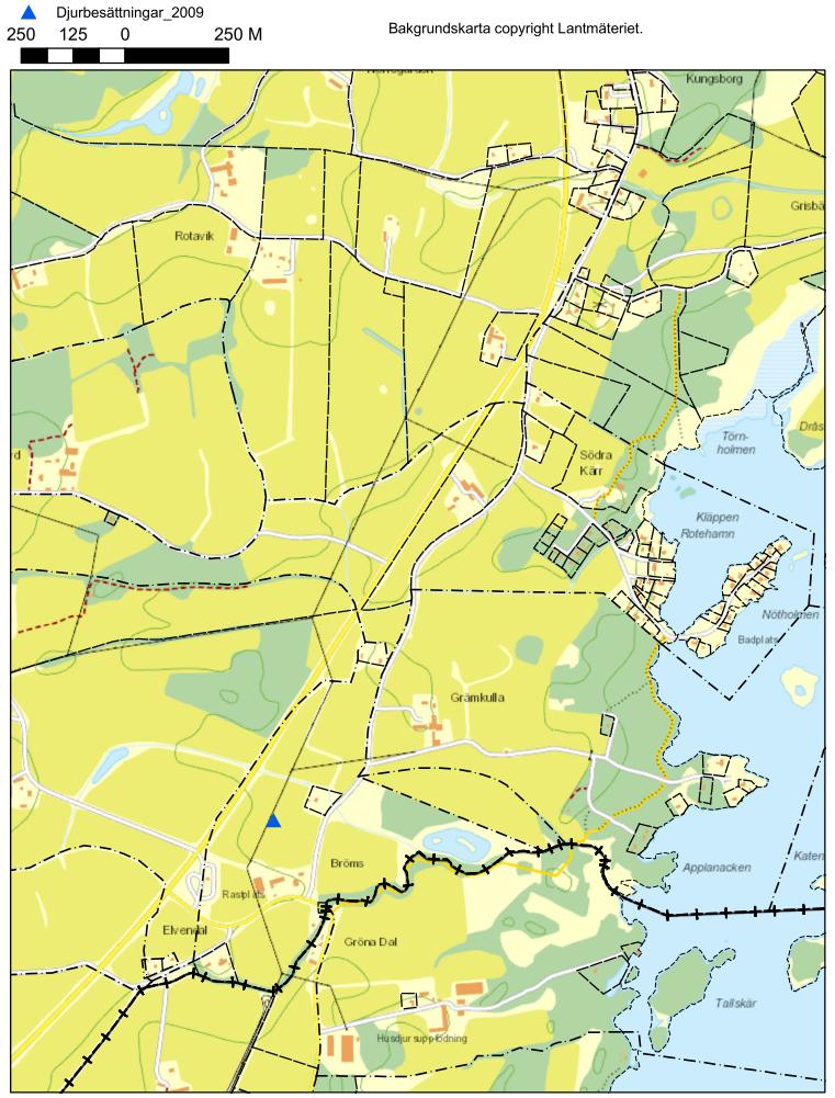 Marknivå Marknivåer inom planområdet ligger från 0 m (havsytenivå) till ca 8-10 meter över havsytenivån i de centrala delarna.