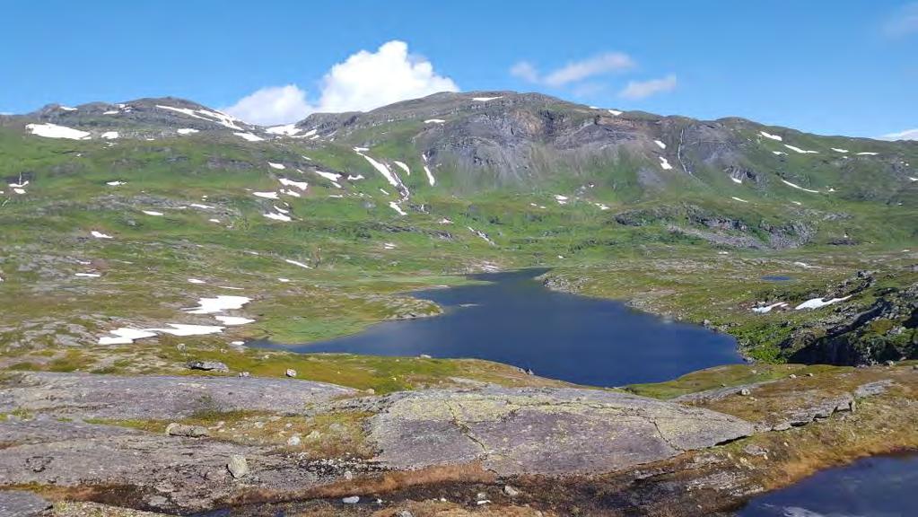 Utsikt från andra kontrollen Vetskapen om att vi efter fjärde kontrollen (av totalt 7) hade avverkat över halva banan kontrollmässigt hägrade intensivt på väg från tredjekontrollen.