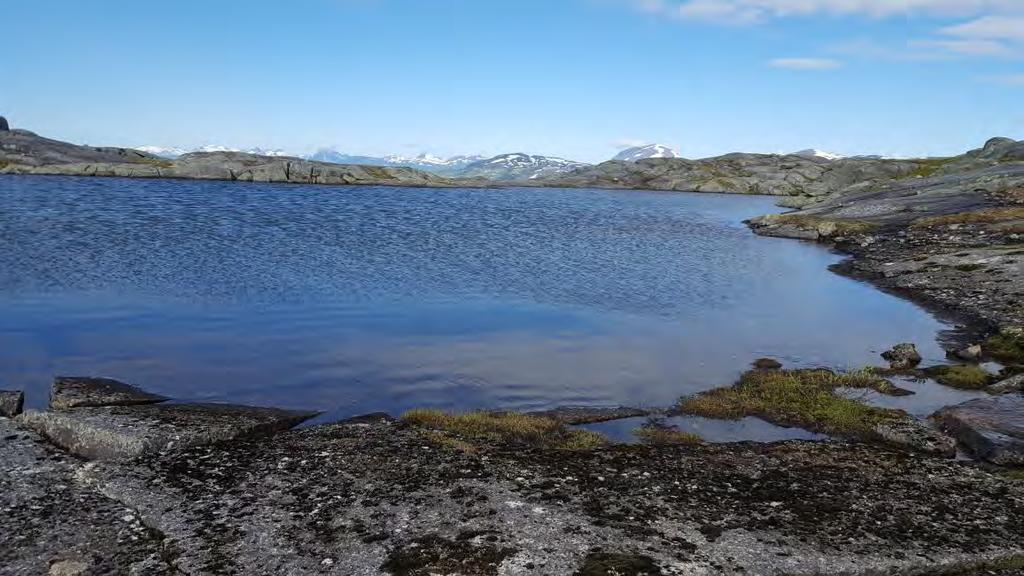Det var kontrollernas kontroll, mästarkontrollen, kontrollen över ALLA andra kontroller, på toppen av ett berg, 1090 meter över havet med en massiv stigning strax innan själva kontrollen.