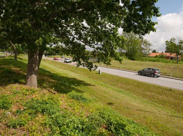 Väster om området ligger Fässbergs kyrkogårds parkliknande landskap. Markytan inom fastigheten Växthuset 1 är tämligen plan och sluttar svagt österut med nivåskillnaden om cirka 2 m.
