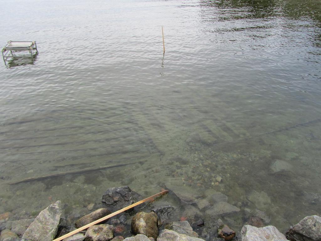 12 Figur 7. Frilagda bord och spant i fören. Foto från nordväst. Foto: Lennart Högberg Schakten midskepps Det västra schaktet togs upp för att se om där fanns rester efter en utrasad skeppssida.