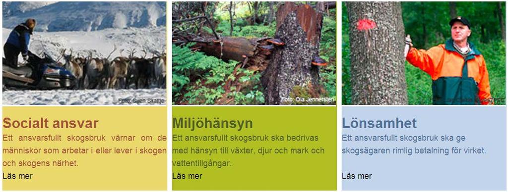 Svensk skogsbruksstandard enligt FSC