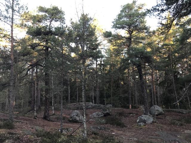 Objektskatalog 7550_NVI_Nyängsparken 2.