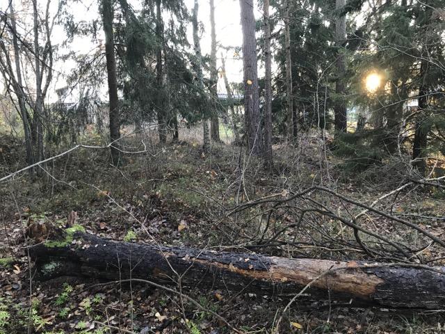 Objektskatalog 7550_NVI_Nyängsparken 4.
