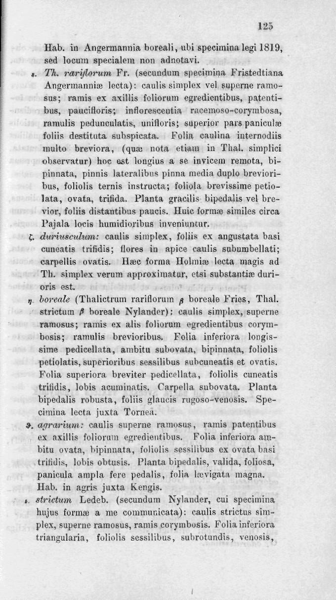 12$ Hab. in Angermannia boreali, ubi specimina legi 1819, sed locum specialem non adnotavi. i. Th. rarijlorum Fr.