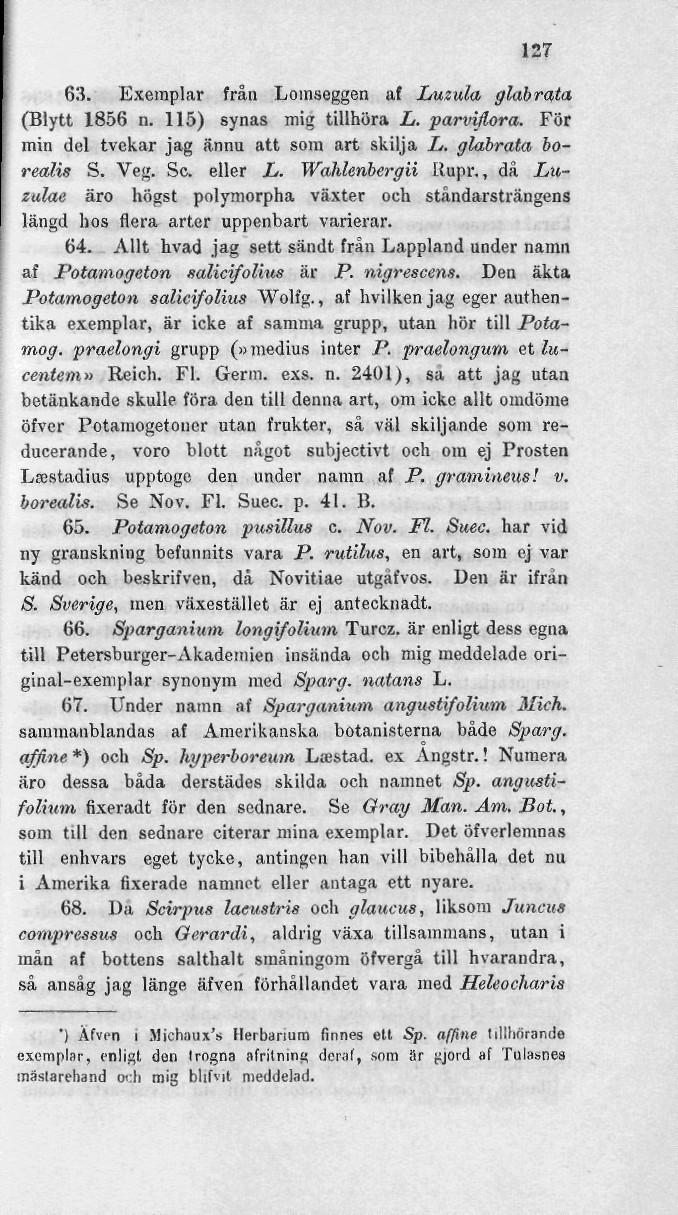 127 63. Exemplar från Lomseggen af Luzula glabrata (Blytt 1856 n. 115) synas mig tillhöra L. parvillora. För min del tvekar jag ännu att som art skilja L. glabrata borealis S. Veg. Se. eller L.