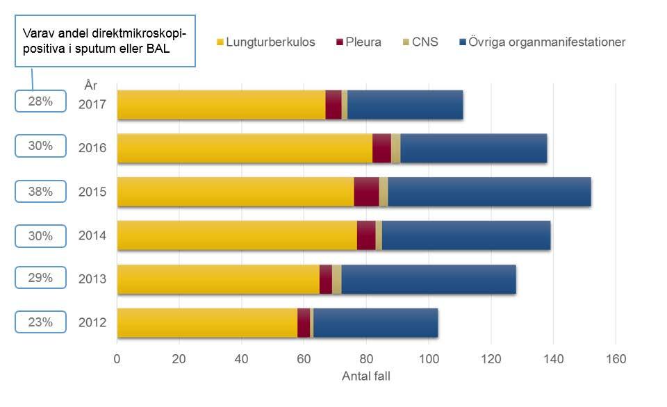 Tuberkulos i lungorna anmäldes i 60 % av fallen, varav 28 % var positiva i direktmikroskopi (två fall endast i BAL). Således var 17 % av samtliga tuberkulosfall direktpositiva i luftvägsprov.