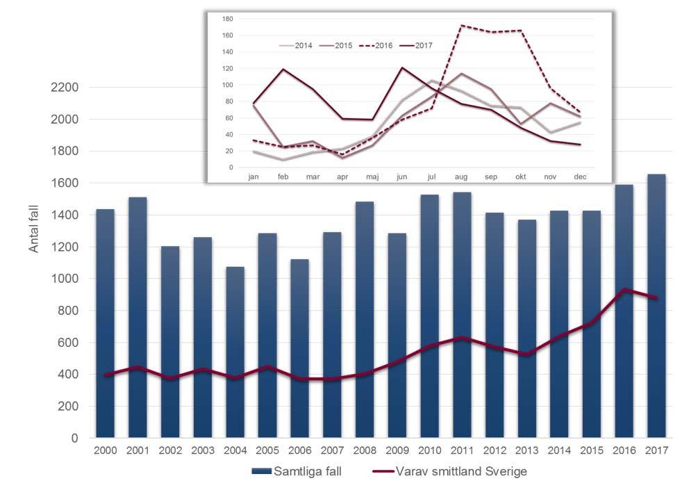 Campylobacter 2015 2016 2017 Smittad i Sverige Smittad utomlands Smittland okänt Kvinnor 669 773 764 374 378 12 Män 757 816 892 507 377 8 Totalt 1 426 1 589 1 656 881 755 20 Utfall och trend