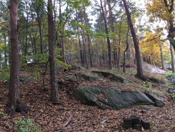 Skolans gård och lekytor varierar, från plana gräsytor med stora värdefulla träd och grusplan