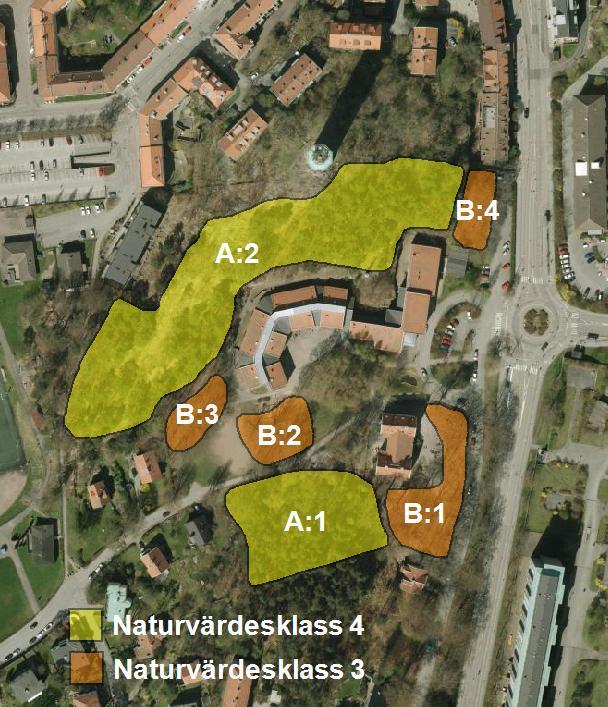 Strax söder ut angränsar planområdet till Skoghyddans med slutande parkmiljön och stora träd.
