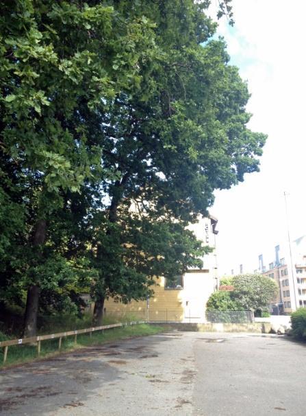 Norrut finns senaste tillksot i området, bostäderna längs gatan är 6-vånings tegelhus med sadeltak, och de tre punkthusen som klättrar i terrängen bakom med ljusa skivfasader, är uppdelade i 3