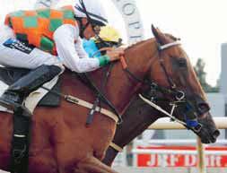 TIPS & RANK V4 & V5 TÄBY GALOPP BANKOD 35 5 Glad Bear 7 Little Warrior 3 Home Straight 6 Last Pay 8 Top Story 2 Dandy s Hero 4 Miss Astragal 1 Embla Läckre fuxvalacken 5 Glad Bear är väldigt jämn och