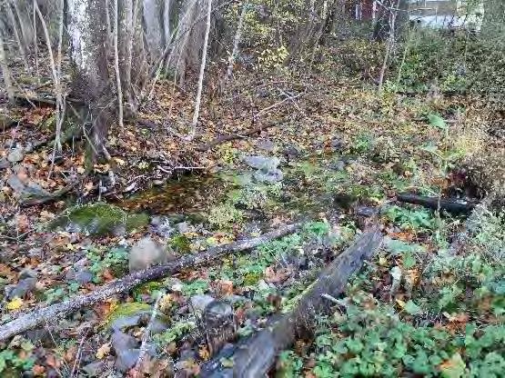Eftersom delsträckan Follbrinksströmmen endast utgör ca en 1/10 av hel vattenförekomstens totala längd så påverkas hela vattenförekomstens status endast marginellt av den hydrologiska regimen på just