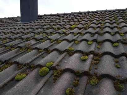 Tak Mosspåväxt finns på takpannor. Mosspåväxt på taket kan leda till att taktäckningen har ett minskat motstånd mot vatteninträngning.