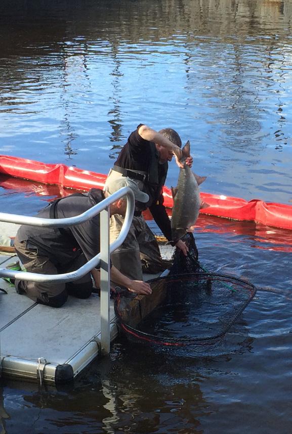 Upplandsstiftelsen verkar även för att förbättra kunskaperna om länets vatten och fiskbestånd genom att bl a följa upp åtgärder.