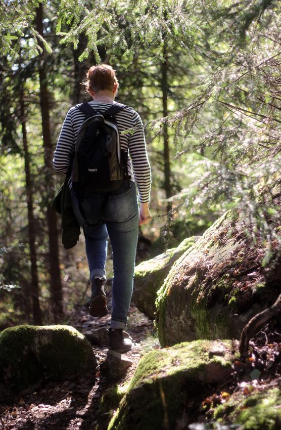 ÖKAD AMBITIONSNIVÅ Upplandsstiftelsens styrelse ser många fördelar med att flera länsinvånare får möjligheter att vistas i naturen.