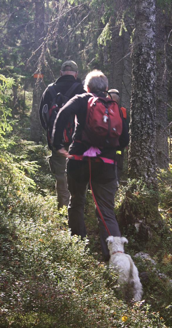 Naturvård Upplandsstiftelsen fortsätter prioritera åtgärder för att förstärka den biologiska mångfalden i Uppsala län.