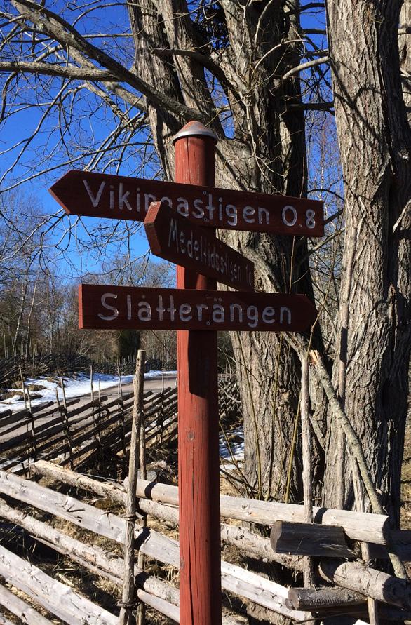 MÖJLIGHETER OCH BEGRÄNSNINGAR Genomförande av prioriterade frågor är beroende av följande faktorer: Ramanslagets storlek och stiftelsens ekonomi. Tillgång till externa medel.