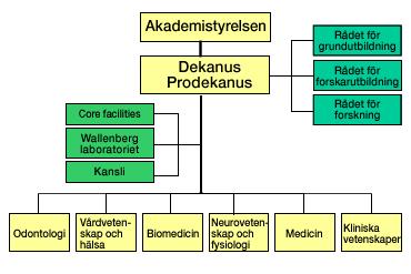 kommer de specificerade strategierna att kopplas till respektive nivå.