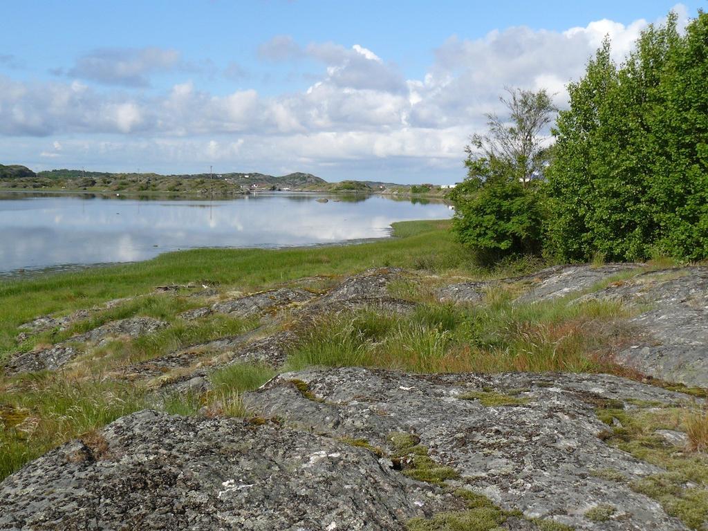 Nedanför brynet ligger en fuktig strandäng. I området finns tre högre bergknallar med utsikt mot Mjölkekilen.