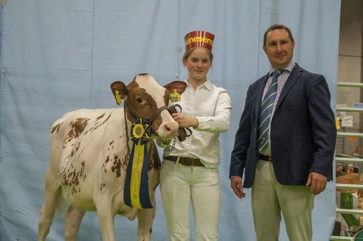 Stort grattis!!! Sålda djur och spolkontrakt Vi vill lyfta fram och gratulera de besättningar i Skåne som har sålt en tjur eller kviga och även de som fått ett spolkontrakt av Viking Genetics.