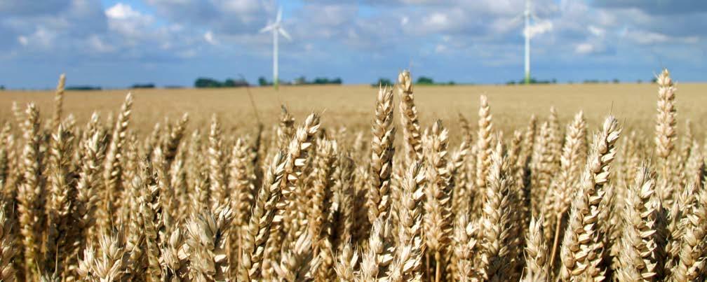 Ekosystemtjänster i Kävlinge kommun Biologisk mångfald en förutsättning för matproduktion En hållbar matproduktion är beroende av fungerande pollinering och skadedjursreglering.