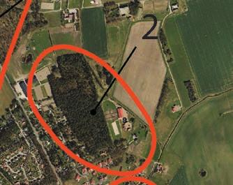 En mindre del av skogen löper obruten tvärs igenom tätorten och binder samman skogarna öster om Ålstorp med de i väster.