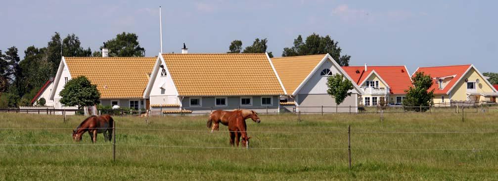 Ekosystemtjänster i Kävlinge kommun Hästbete vid Löddeköpinge (Kävlinge kommun 2015) Löddeköpinge Löddeköpinge ligger i det skånska slättlandskapet där odling är den dominerande markanvändningen, och