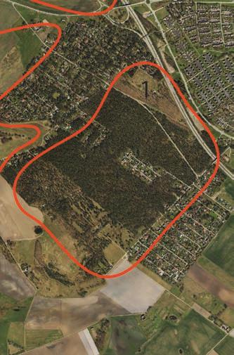 Ekosystemtjänster i Kävlinge kommun 1. Tallskog mellan Sandskogen och Lyckehus Skogen utgörs till största del av planterad tall, men här finns även ekbestånd i begränsade delar av området.