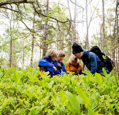 tillgängliga friluftsmiljön