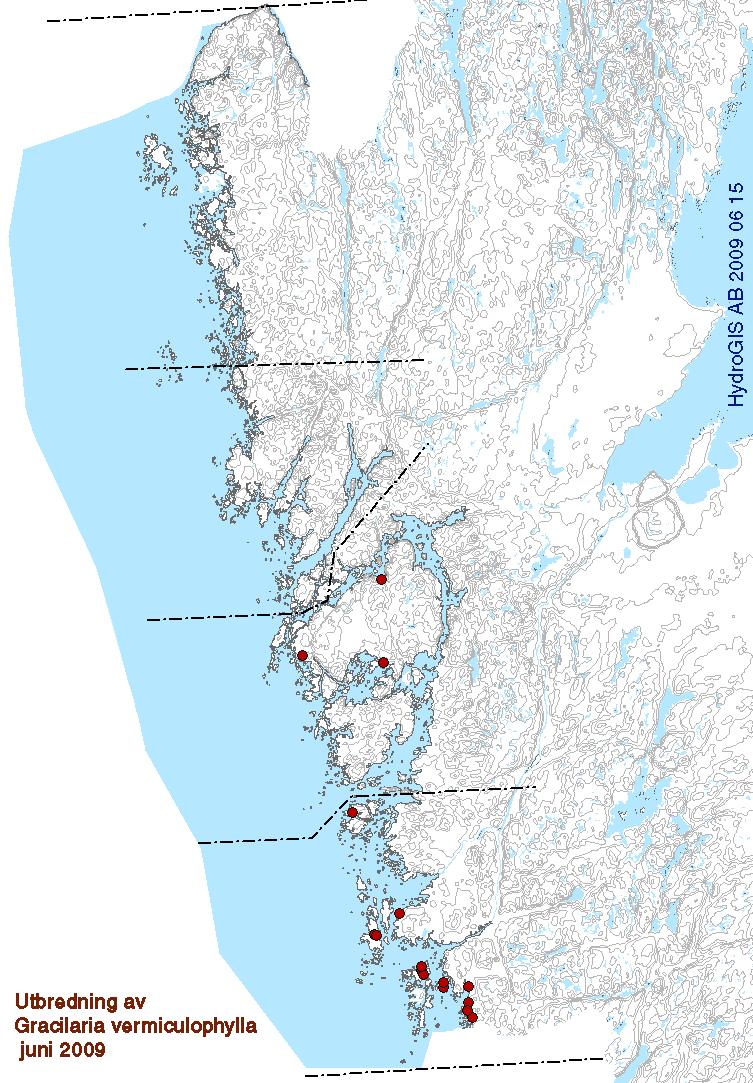 RESULTAT