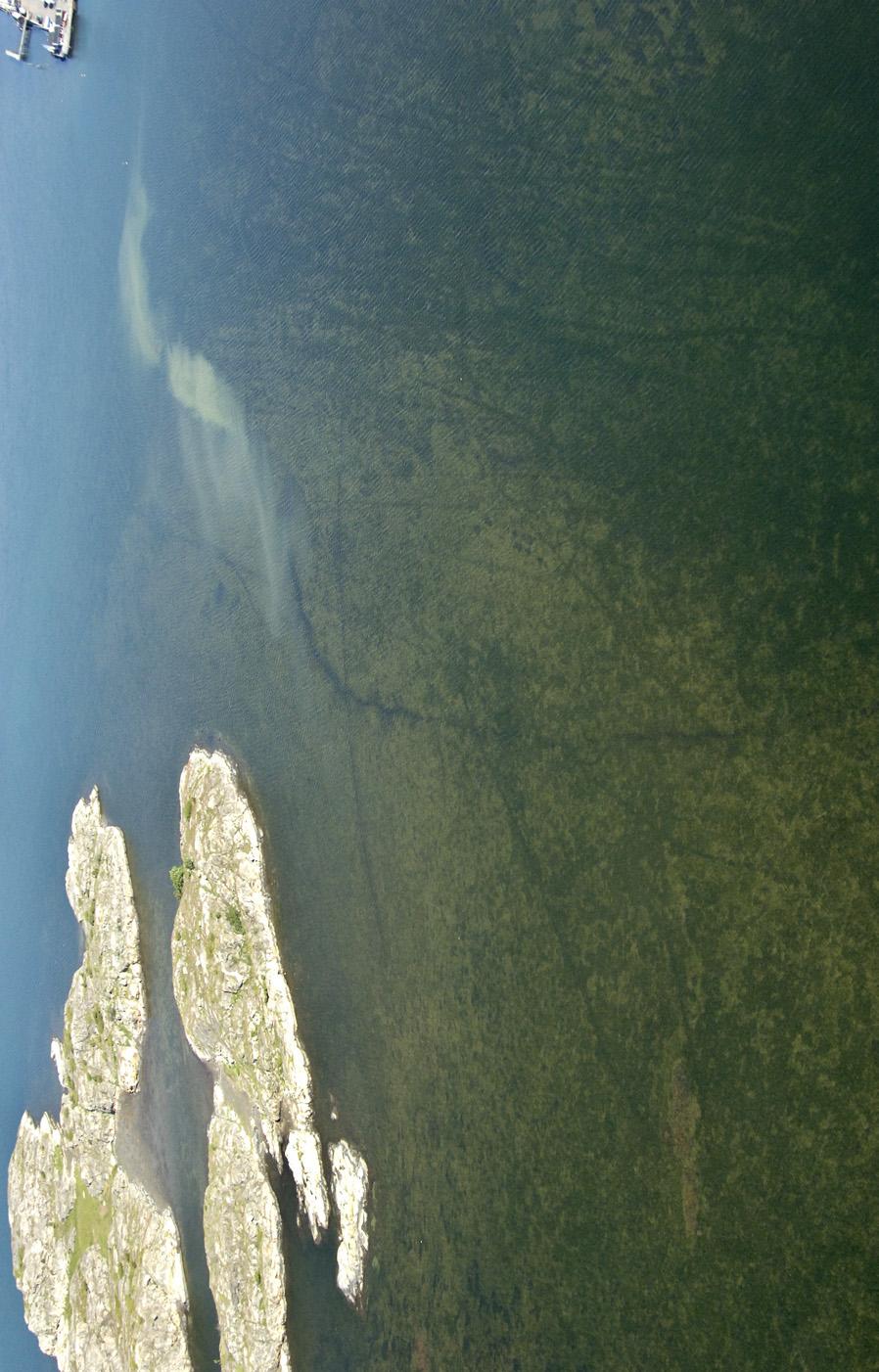 SLUTSATSER Fig 19: När fritidsbåtar passerar över grunda bottnar med ålgräsvegetation sker propellerklippning av bladen, vilket framträder som talrika spår i