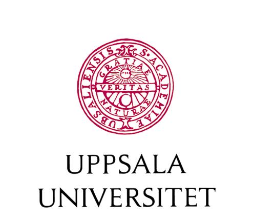 Bilaga D. Information till deltagare Deltagande i forskning om samband mellan lufttryck och ljudnivå hos rösten När vi pratar producerar vi ett visst tryck från lungorna.