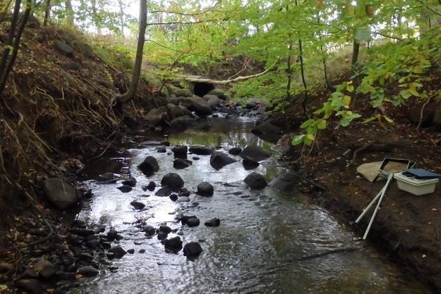 neutralt Status med avseende på eutrofiering Status med avseende på hydromorfologisk påverkan Status med avseende på annan påverkan Övriga index och tillståndsklassning Naturvärde Otillfredsställande