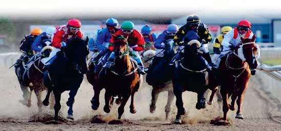 BRO PARK // 48 4 1600 Dirt-track START 19.25 KOMB TRIO JOCKEYKLUBBENS STOLÖPNING VINNARE Jockeyklubbens Pris till segrande stoets ägare.