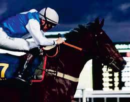 TIPS & RANK V64 & V4 BRO PARK BANKOD 48 AV ULF ZEIDER Lopp 4 - V64-1 Lopp 5 - V64-2 Lopp 6 - V64-3, V4-1 Lopp 7 - V64-4, V4-2 Lopp 8 - V64-5, V4-3 Lopp 9 - V64-6, V4-4 7 Vallance Road 2 Angel Love 1