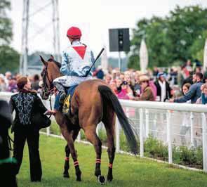 45 Entré 100 kr (under 18 år, fri entré) LADY JOCKEY WORLD