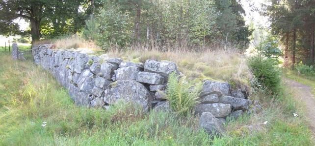 trädgården i form av bland