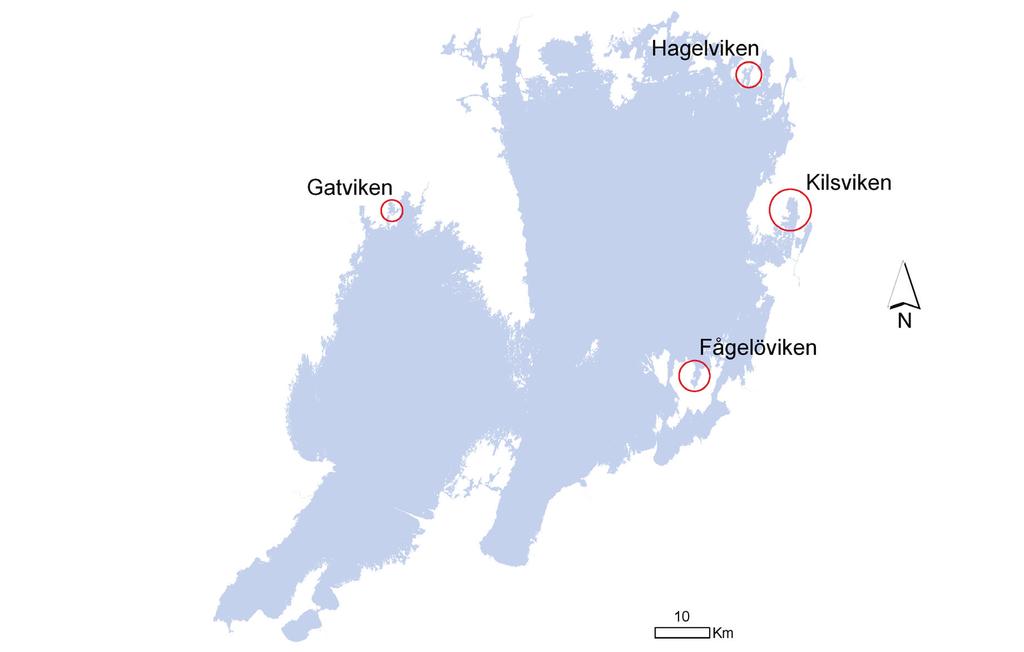 Tabell 1. Typvikarnas koordinater. Lokal X-koordinat Y-koordinat Kilsviken 6552821 1402130 Fågelöviken 6523541 1384326 Gatviken 6553731 1328224 Hagelviken 6577913 1393502 Figur 1.