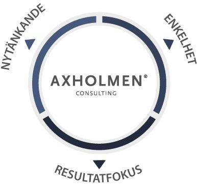 Axholmen Grundades 2007 med idén att skapa ett enklare och mer resultatinriktat sätt att leverera konsulttjänster: Vi delar alla idén att moderna konsulttjänster motiveras av de resultat och