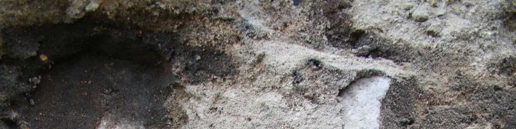 keramik (F1-2, F4) samt ett fragment till en kakelugn (F3), som antyder att källaren fyllts igen under 1700- och 1800-talen.