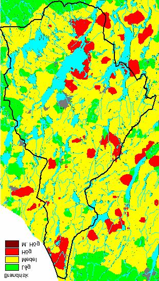 Antal bränder Andel (%) Yta (ha) Andel/Yta (%) Intervall Detalj. Översikt. Detalj. Översikt. Detalj. Översikt. Detalj. Översikt. Låg 6 6 11 12 158730 103015 1 23 Medel 29 39 56 75 141252 244408 6 32 Hög 16 7 31 13 78245 31124 6 45 Myck.