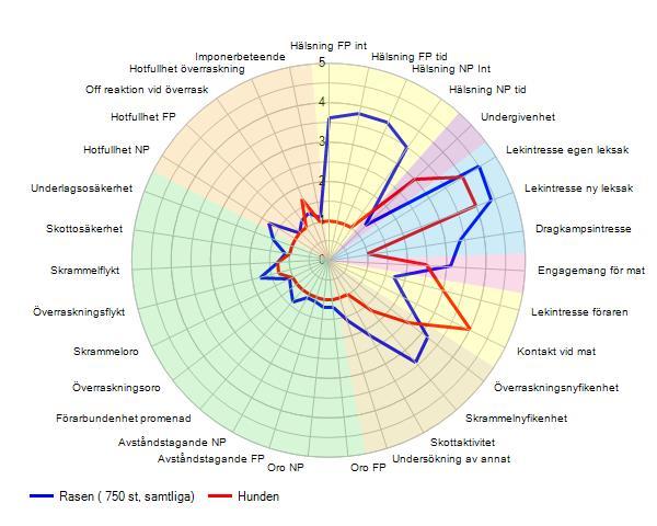 218-9-6 Att se helheten Spindeldiagram, protokoll och sammanfattande beskrivning ger tillsammans en bra bild av en hunds BPH-beskrivning.